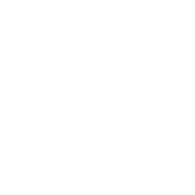 LushBinary logo