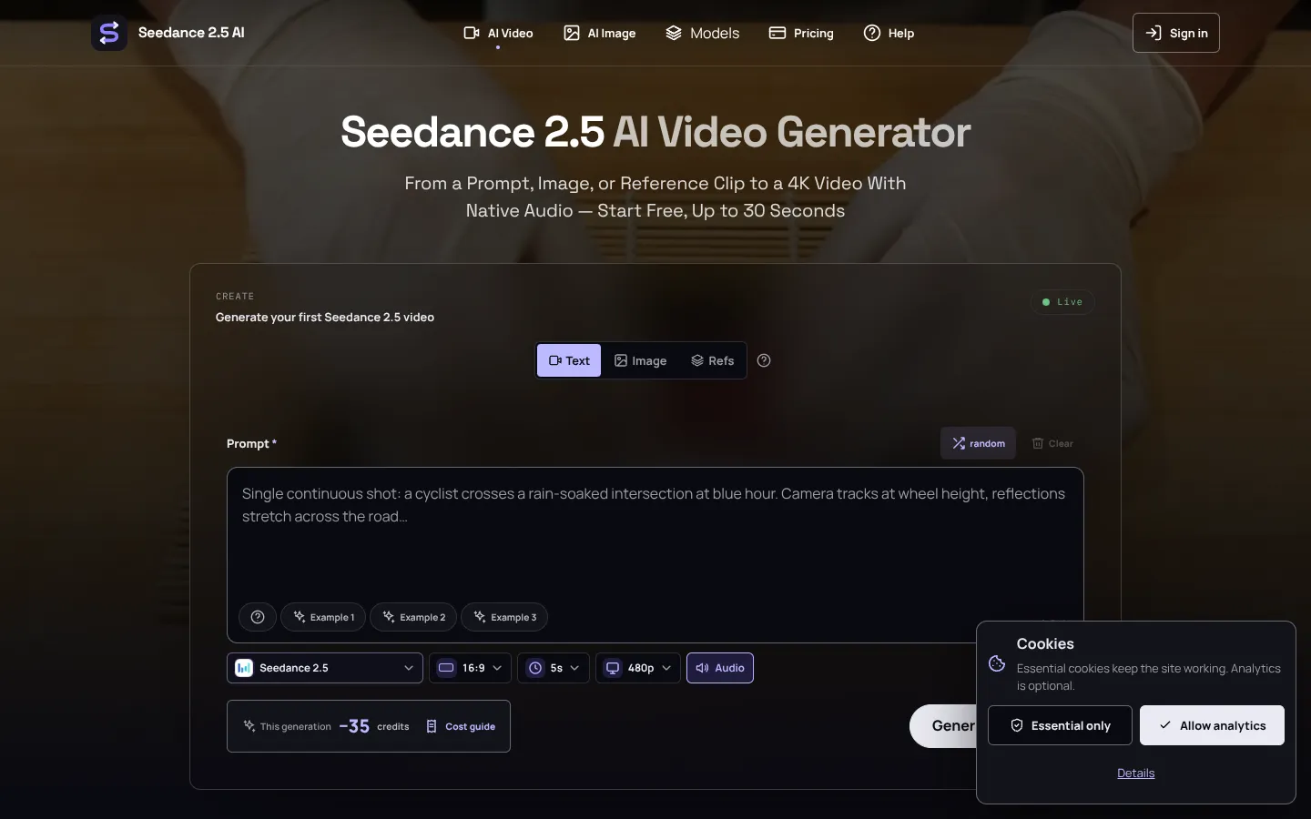 Screenshot of the Seedance 2.5 homepage