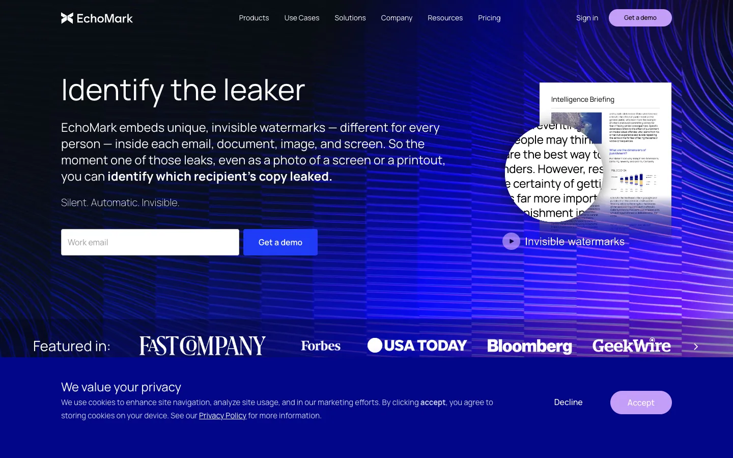 Screenshot of the EchoMark homepage