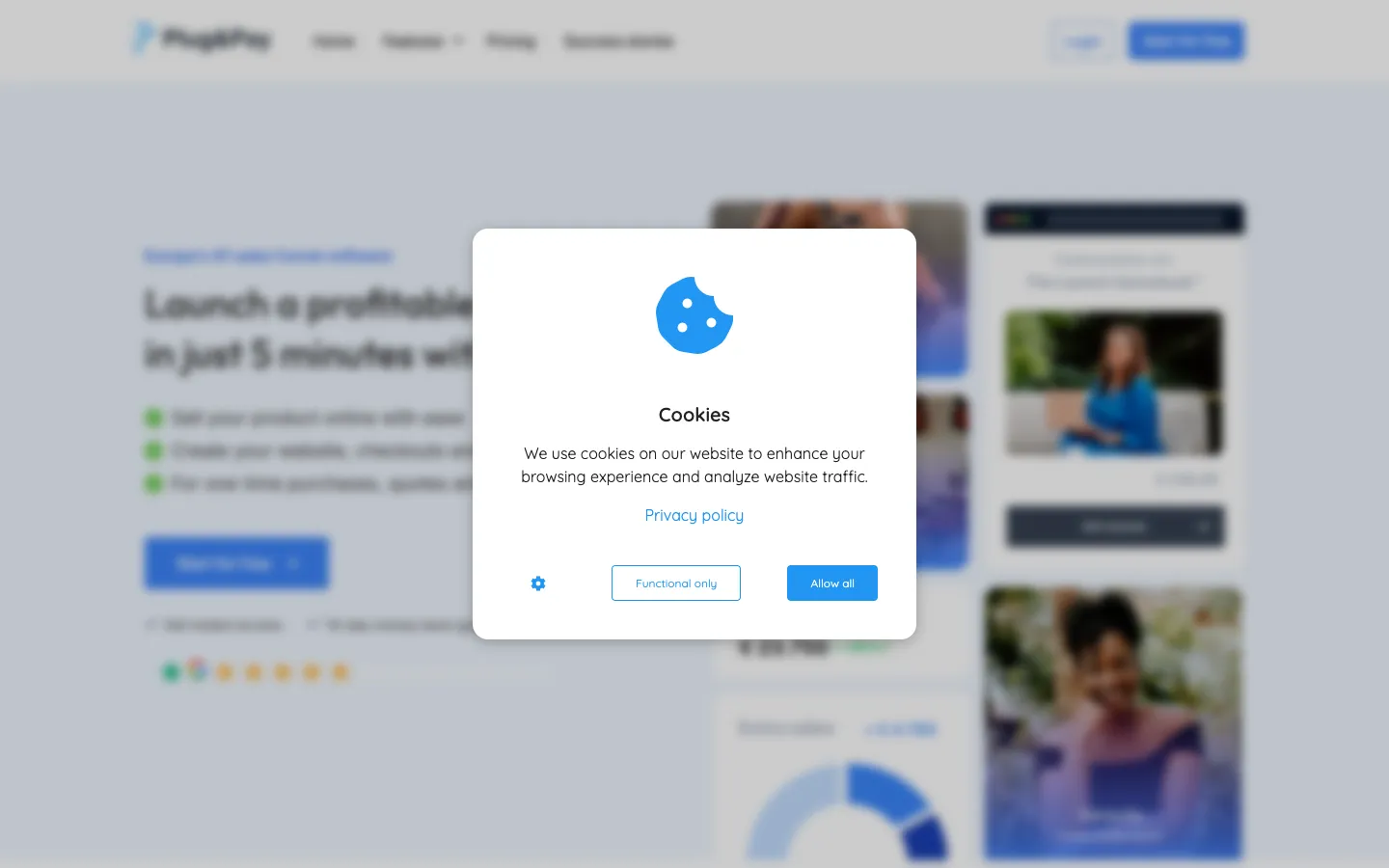 Screenshot of the plugandpay.com homepage