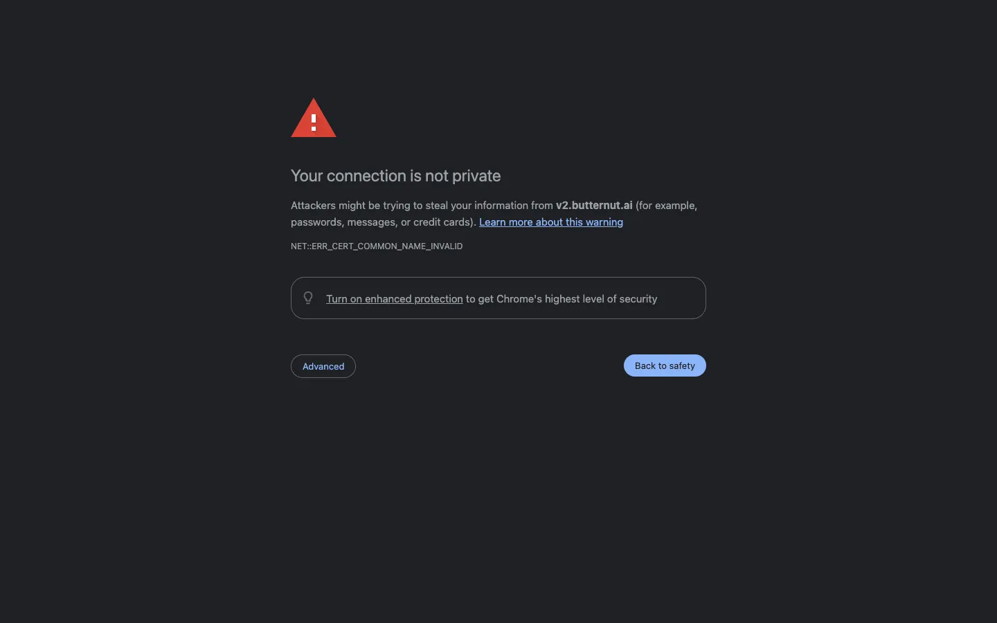 Screenshot of the Butternut AI 1.0 homepage