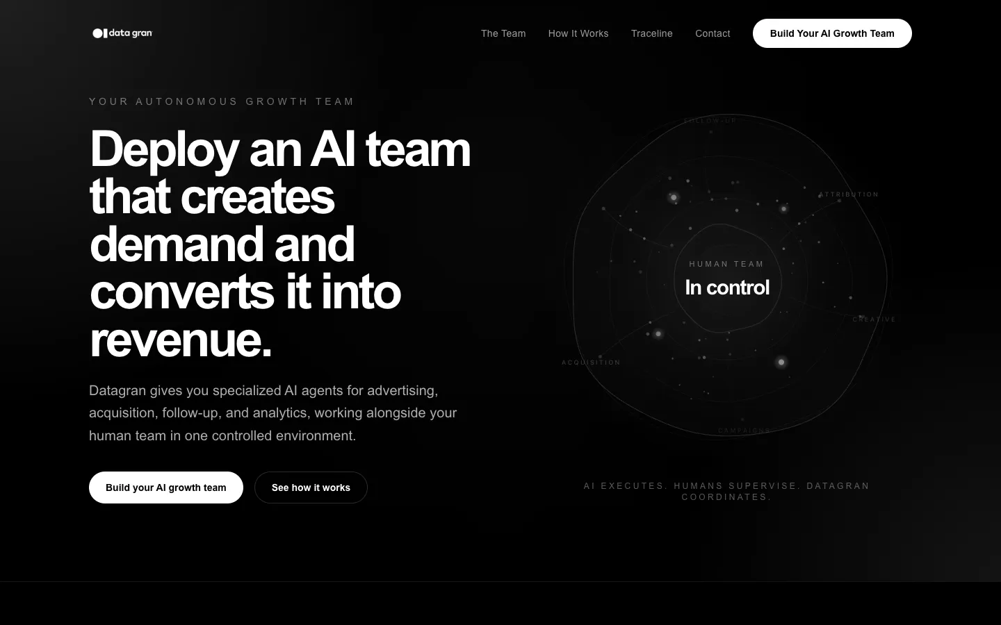 Screenshot of the Datagran homepage