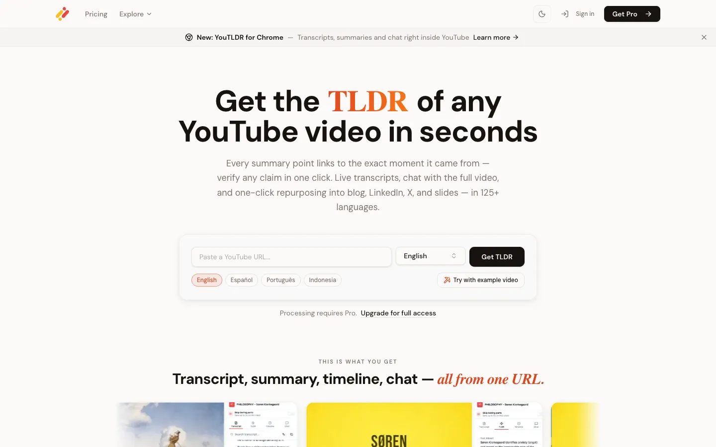 Screenshot of the YOU-TLDR 2.0 homepage