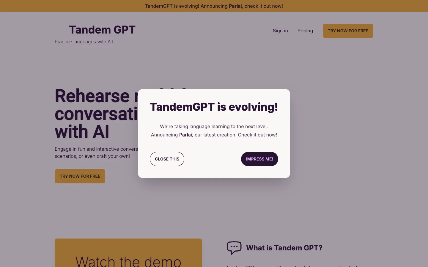 Screenshot of the Tandem GPT homepage