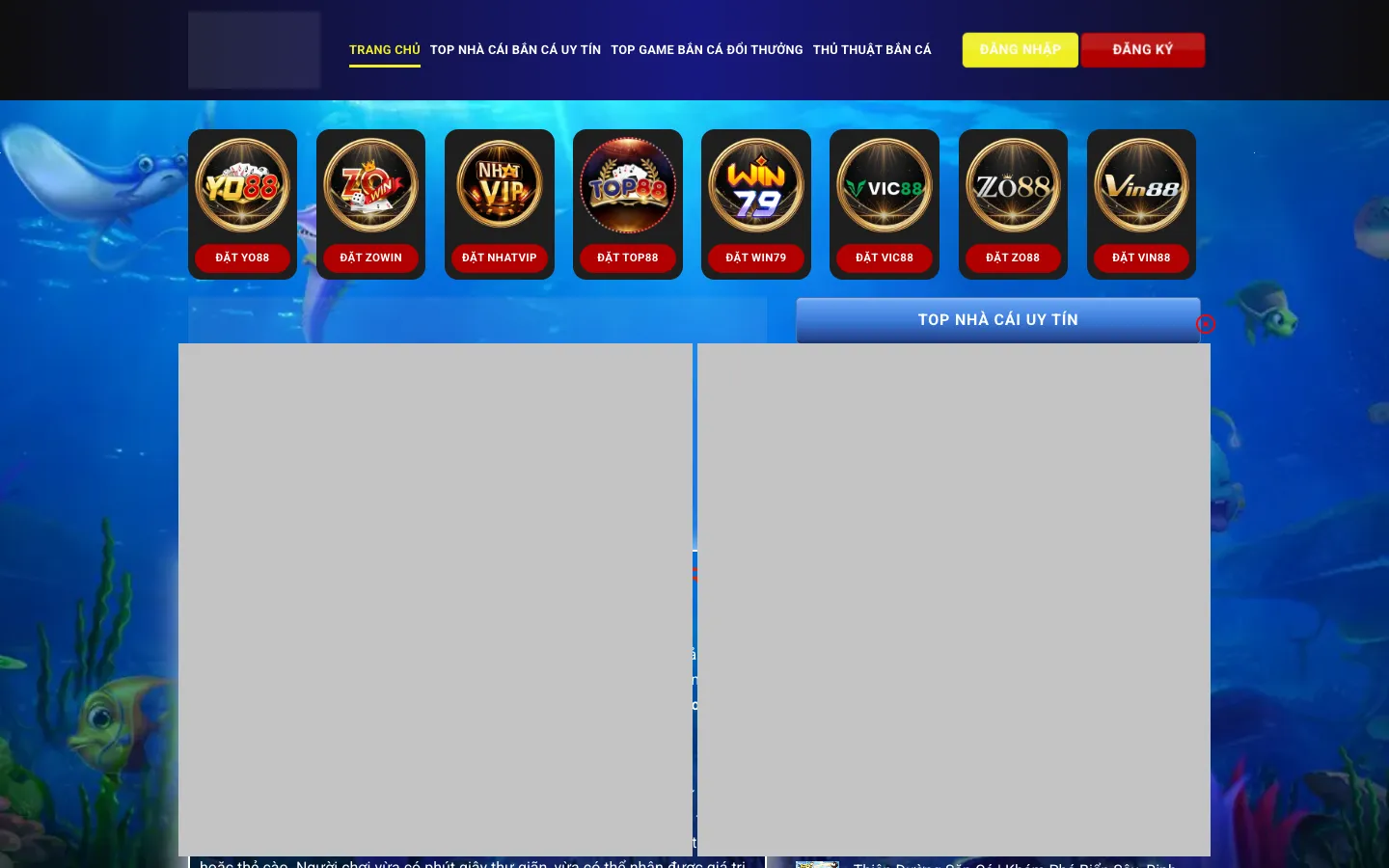 Screenshot of the DialSense homepage