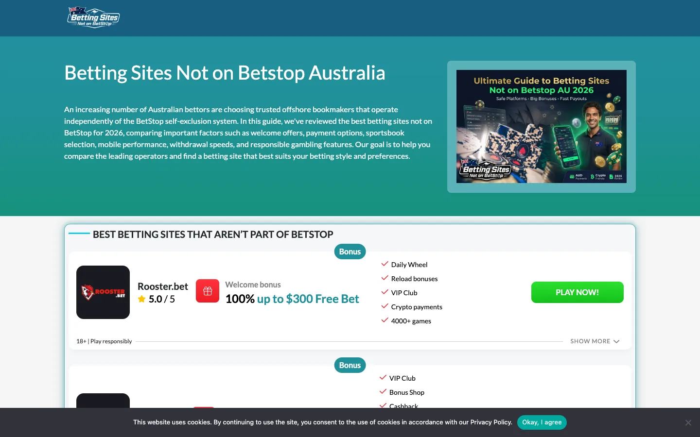 Screenshot of the ResearchBuddy.app homepage