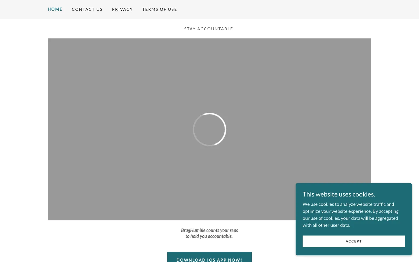 Screenshot of the BragHumble homepage