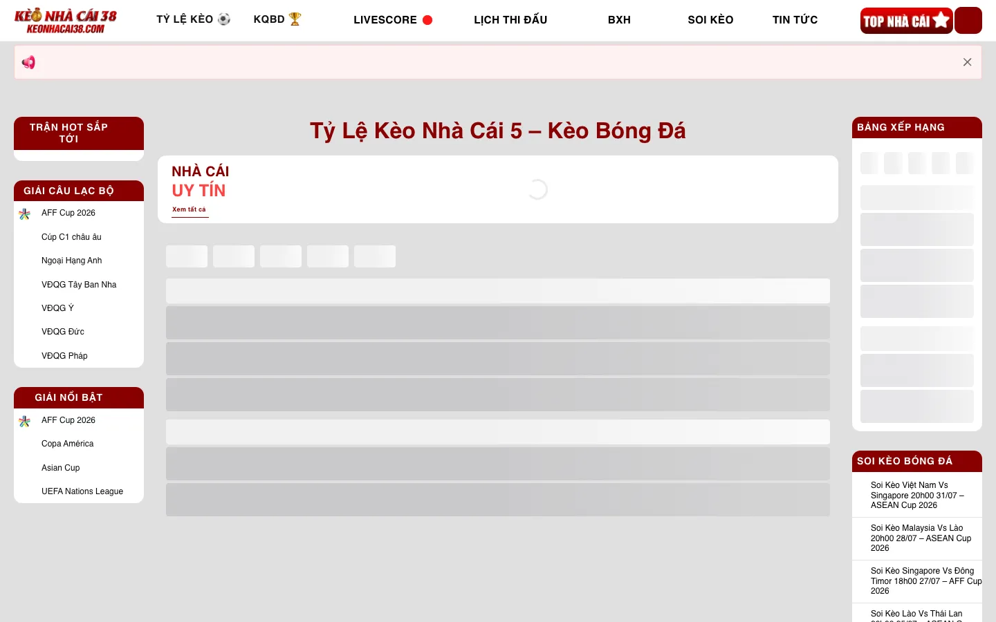 Screenshot of the Roobin homepage