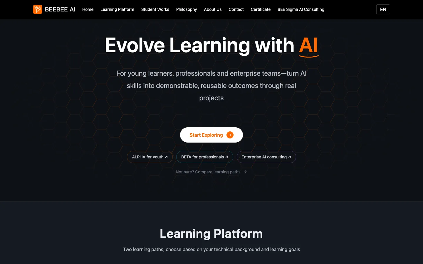 Screenshot of the BeeBee Ai homepage