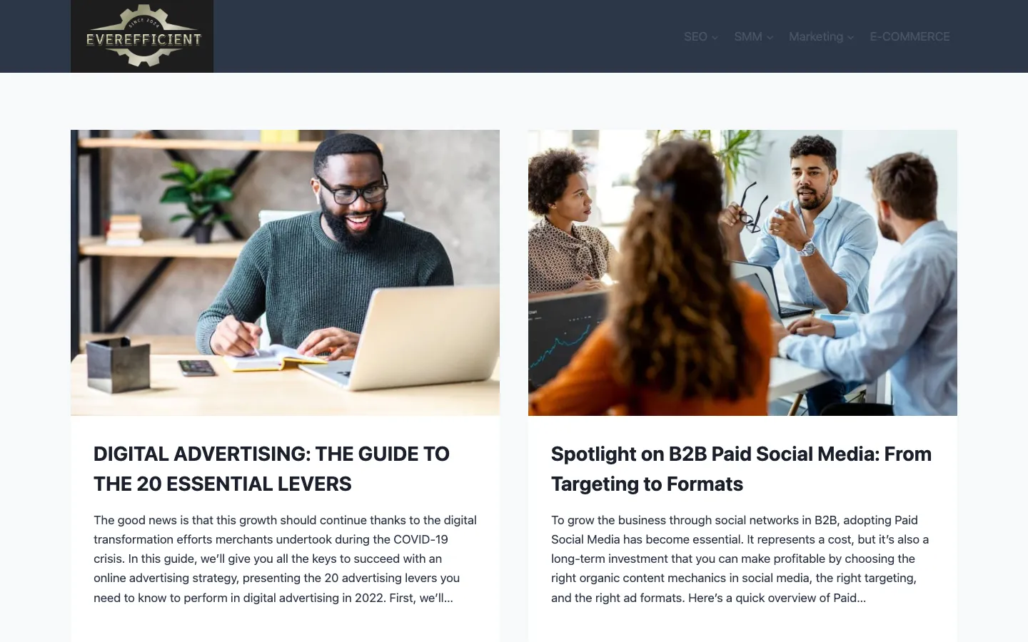 Screenshot of the Ever Efficient AI homepage