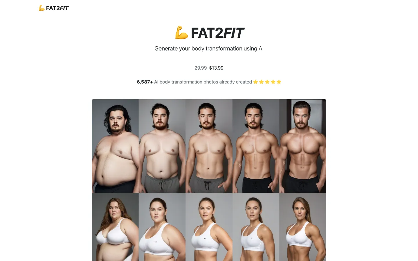 Screenshot of the FAT2FIT homepage