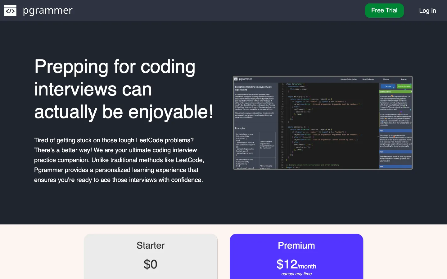Screenshot of the Pgrammer homepage
