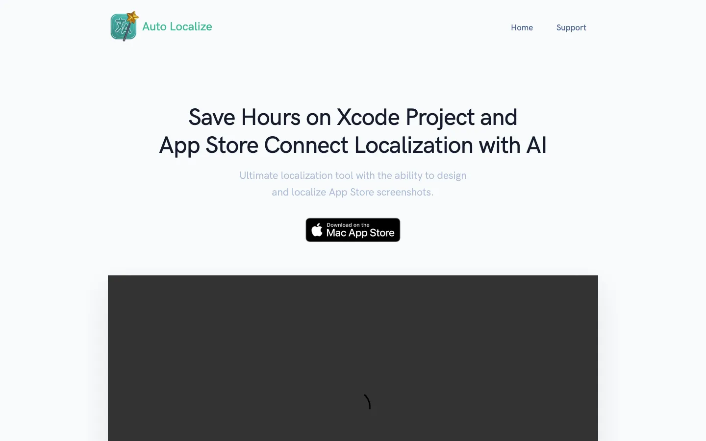 Screenshot of the Auto Localize homepage