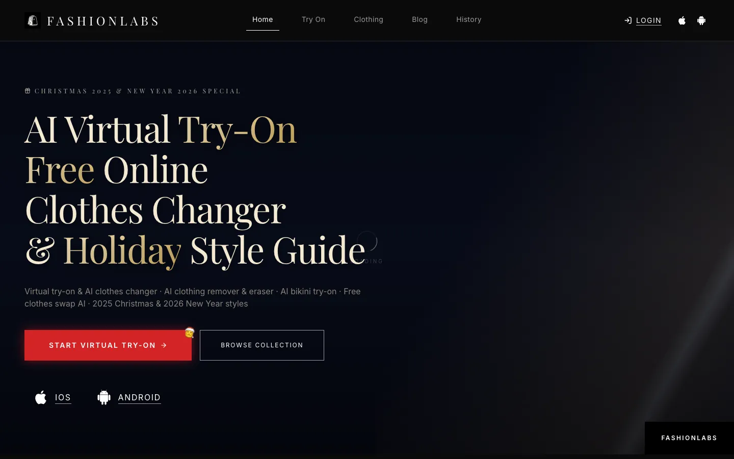 Screenshot of the FashionLabs.AI homepage