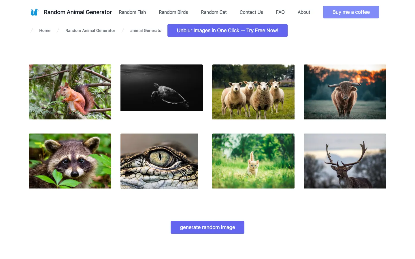 Screenshot of the random animal generator homepage