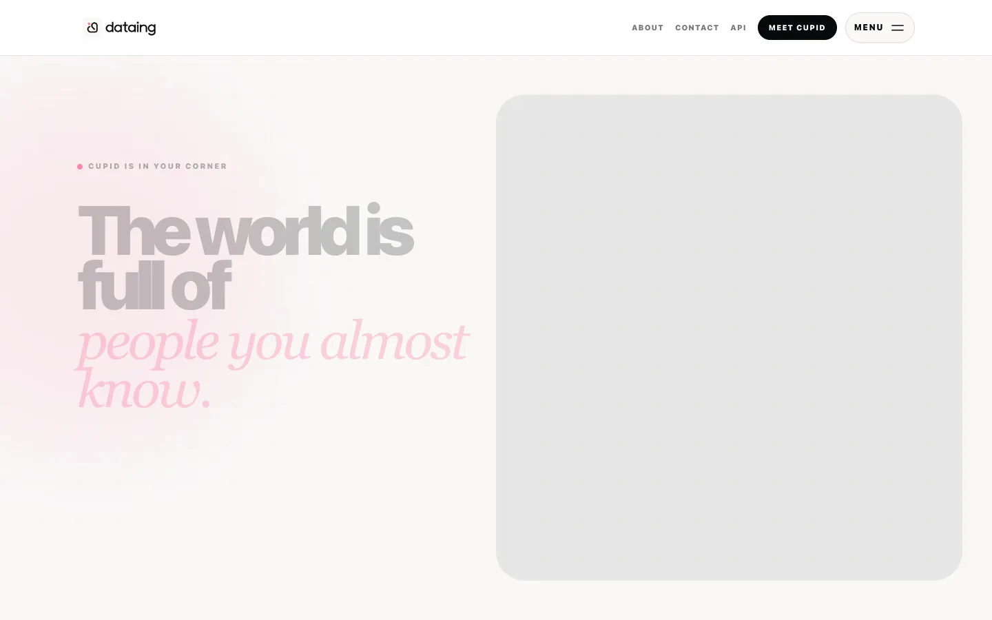 Screenshot of the dataing homepage