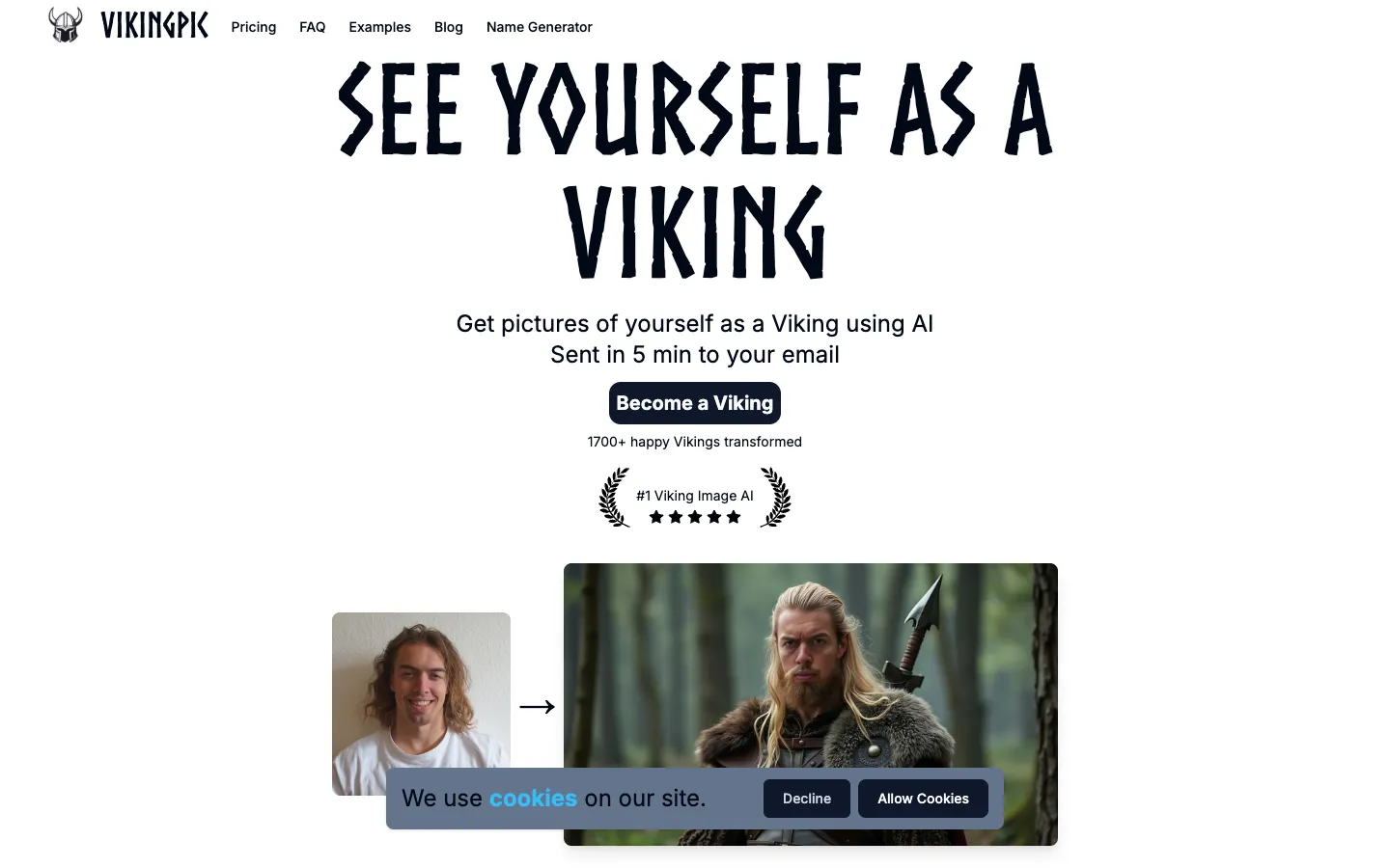 Screenshot of the VikingPic homepage