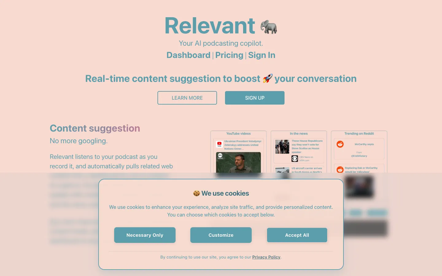 Screenshot of the Relevant homepage