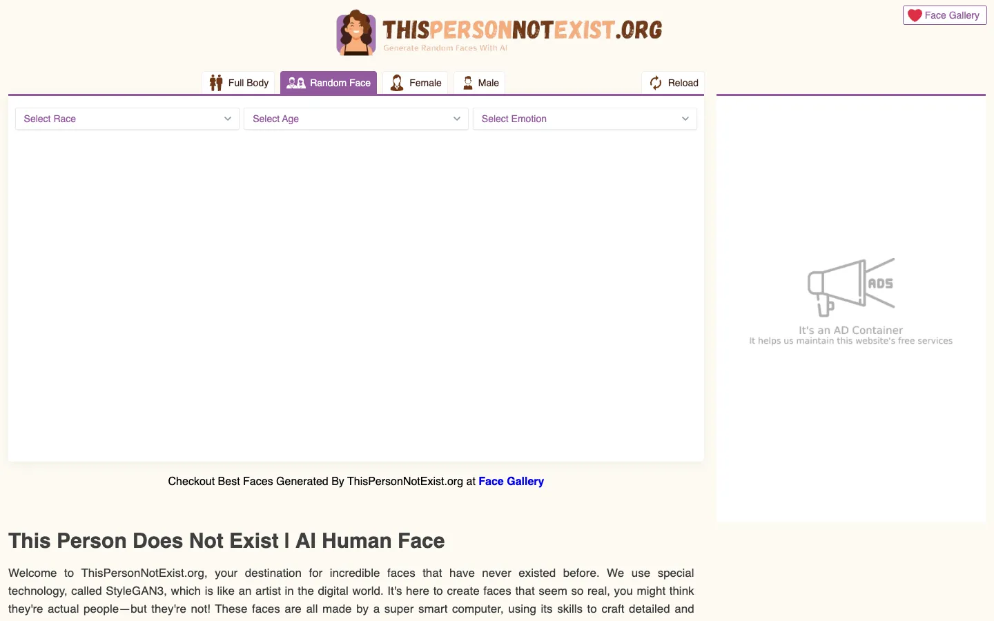 Screenshot of the This Person Not Exist homepage