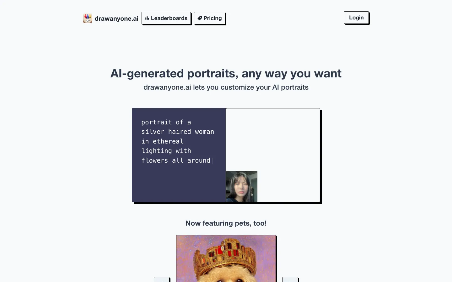 Screenshot of the drawanyone homepage