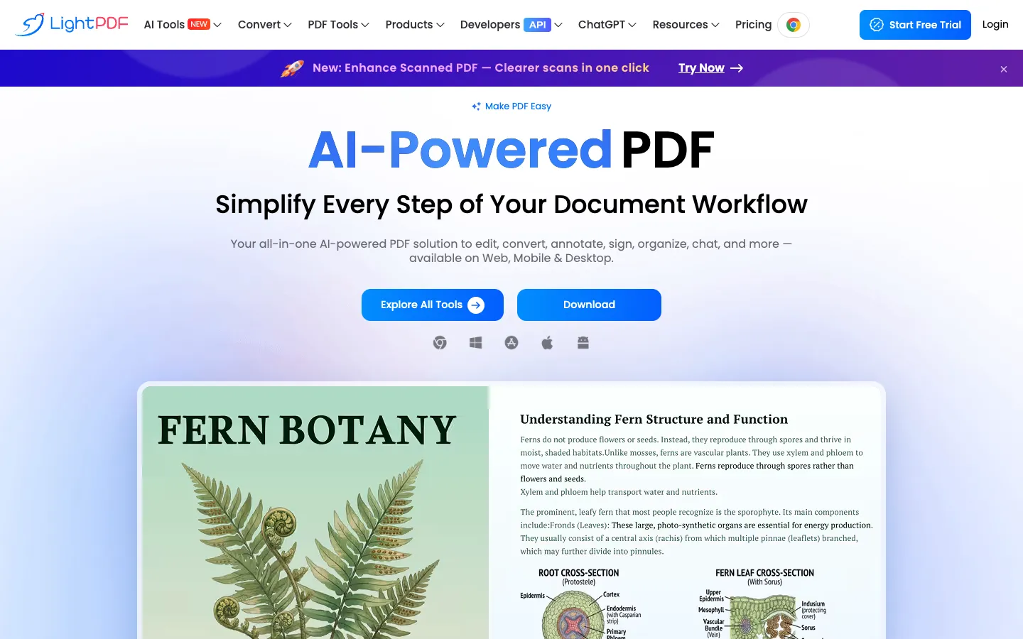 Screenshot of the LightPDF homepage
