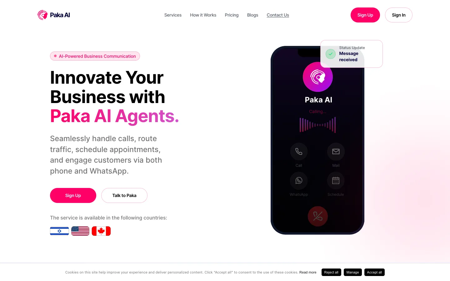 Screenshot of the Paka AI homepage